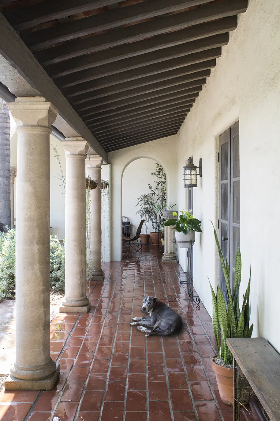Spanish-style estate outdoor hallway with columns and arched doorway and a grey dog sitting on red brick flooring
